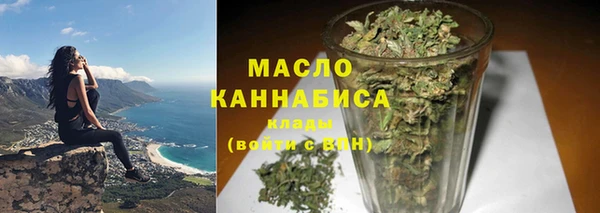 тгк Бородино