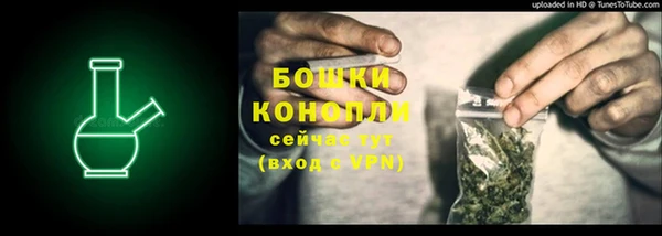 соль ск Богданович
