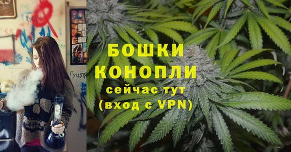 тгк Бородино