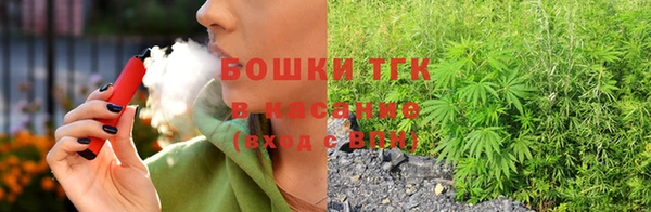 спиды Богородск