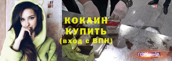 соль ск Богданович