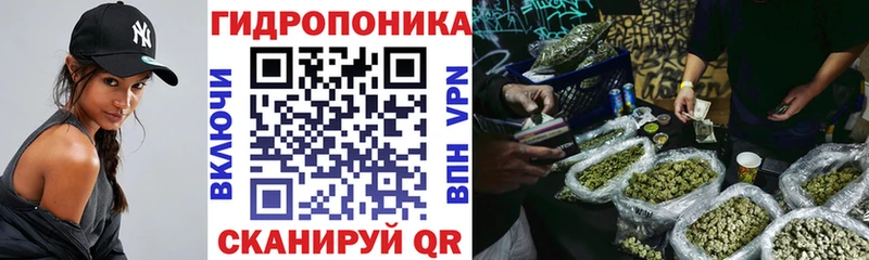 Конопля Ganja  KRAKEN как зайти  Новохопёрск 